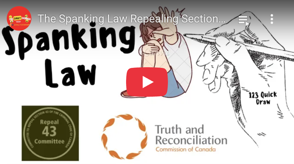 Content creation and video engineering